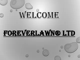 welcome