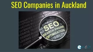 seo companies in auckland