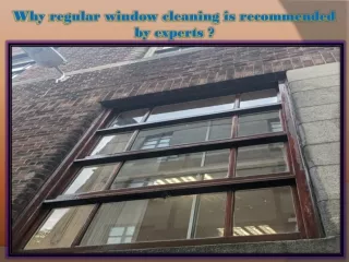 why regular window cleaning is recommended