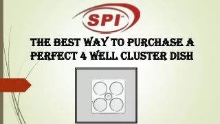 the best way to purchase a perfect 4 well cluster dish