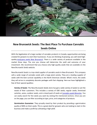 New Brunswick Seeds- The Best Place To Purchase Cannabis Seeds Online