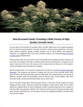 New Brunswick Seeds- Providing a Wide Variety of High-Quality Cannabis Seeds