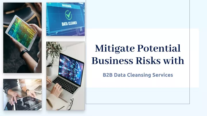 mitigate potential business risks with
