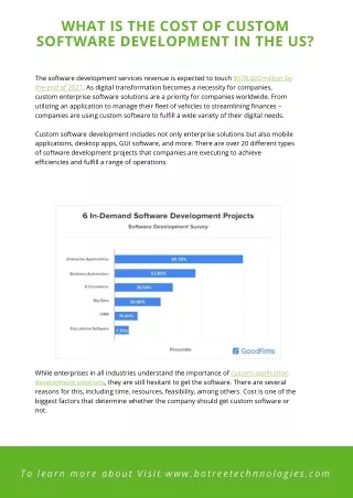what is the cost of custom software development
