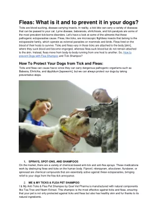 fleas what is it and to prevent it in your dogs