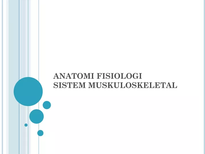anatomi fisiologi sistem muskuloskeletal
