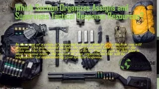 which section organizes assigns and supervises