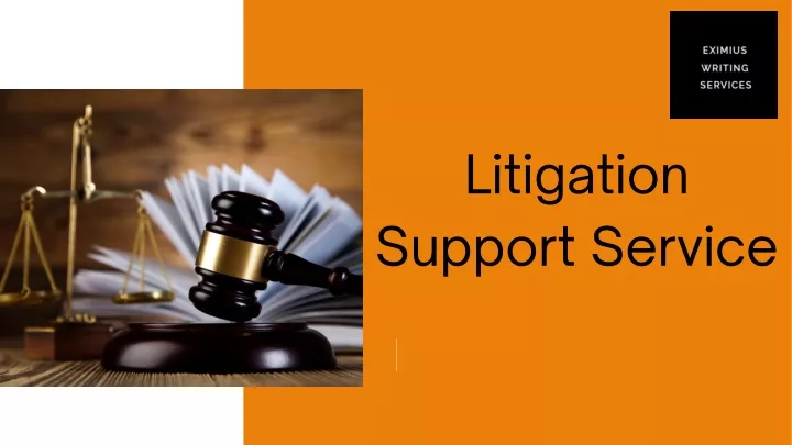litigation support service