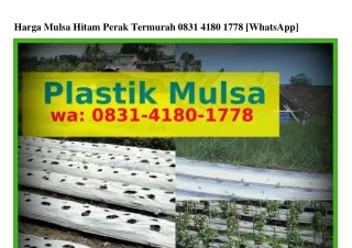 Harga Mulsa Hitam Perak Termurah ౦8౩I_ㄐI8౦_I778[WhatsApp]