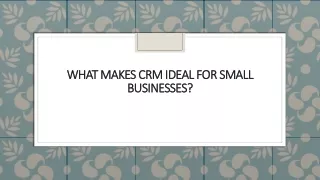 what makes crm ideal for small what makes