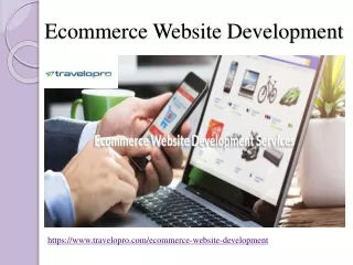 ecommerce website development