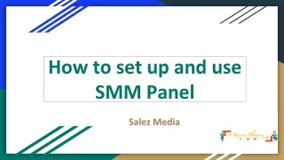 How to set up and use SMM Panel