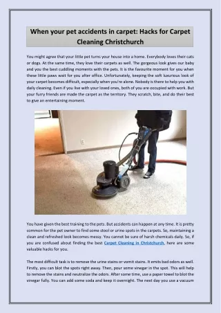 When your pet accidents in carpet: Hacks for Carpet Cleaning Christchurch