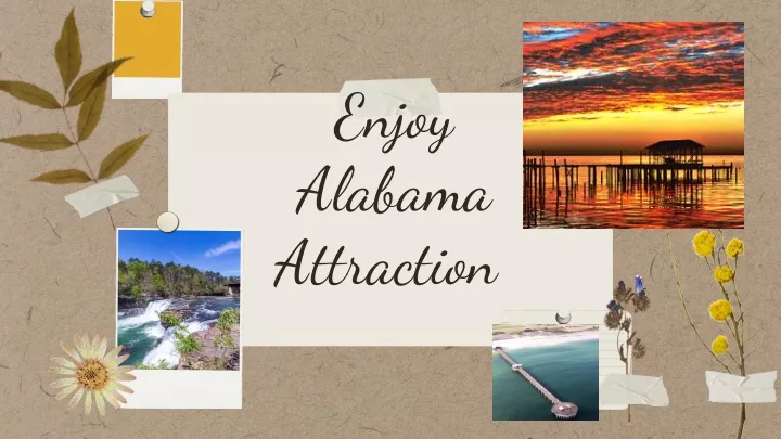 enjoy alabama attraction