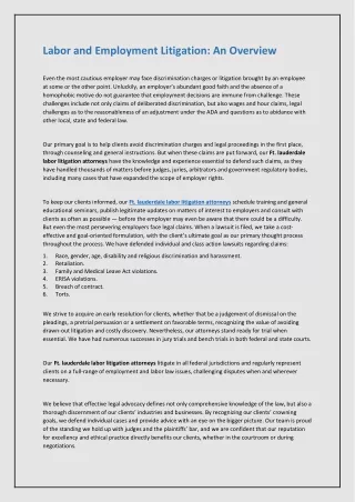 labor and employment litigation an overview
