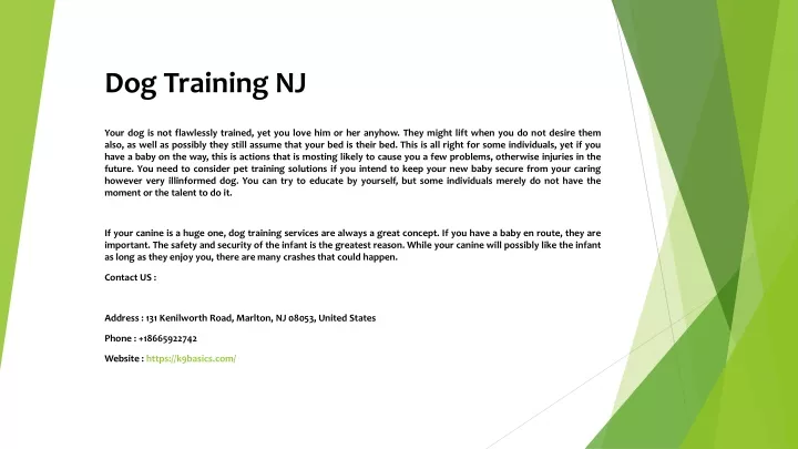 dog training nj