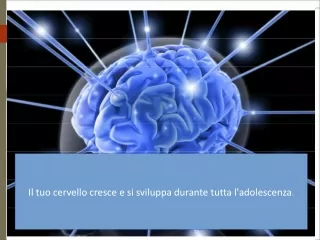 comportamenti a rischio