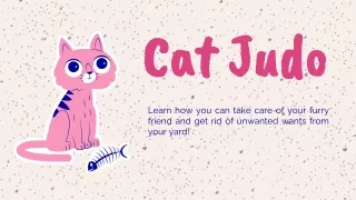 Cat Judo - Best Tips For Cat