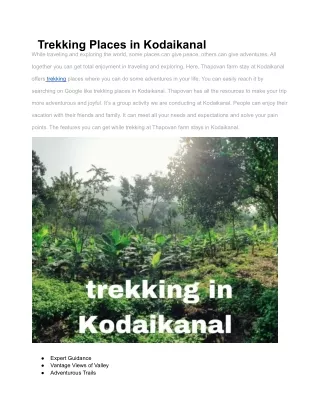 Trekking Places in Kodaikanal Trekking In Kodaikanal