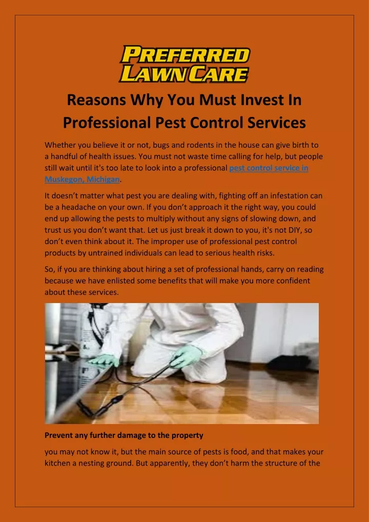 reasons why you must invest in professional pest