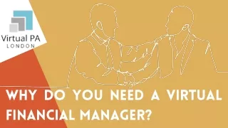 Importance of Hire  A Virtual Financial Manager