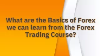 What are the Basics of Forex we can learn form the Forex Trading Course