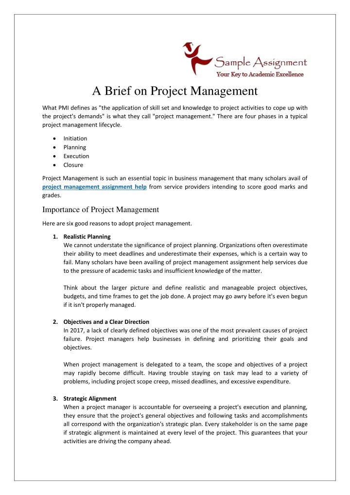 a brief on project management