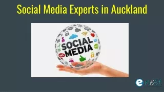 social media experts in auckland