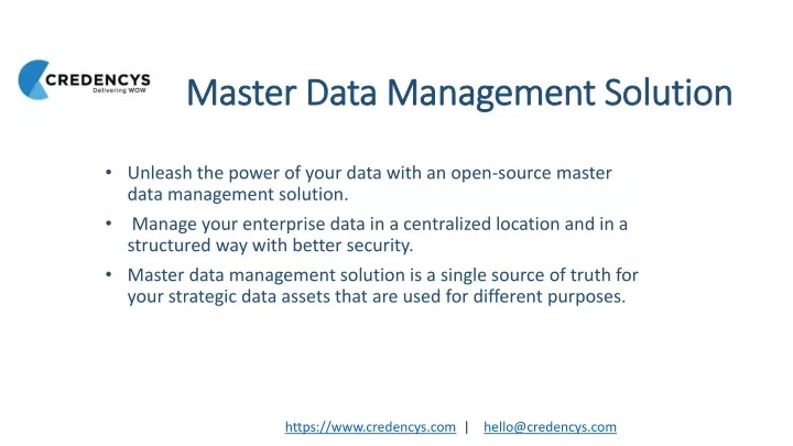 master data management solution
