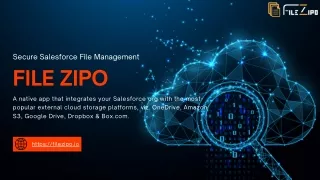 secure salesforce file management