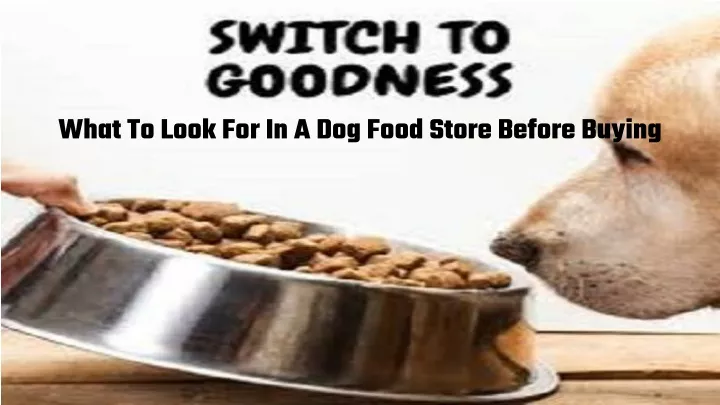 what to look for in a dog food store before buying
