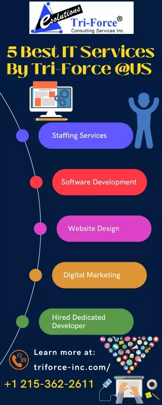 Tri-force Provide the best IT Consulting services and Digital Marketing USA