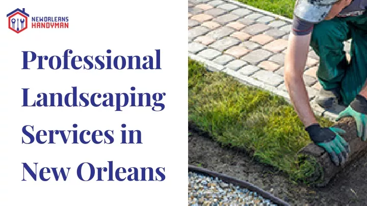 professional landscaping services in new orleans