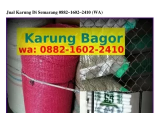 Jual Karung Di Semarang Ö88ᒿ-l6Öᒿ-ᒿㄐlÖ{WhatsApp}