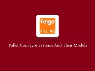 Pallet Conveyor Systems Supplier