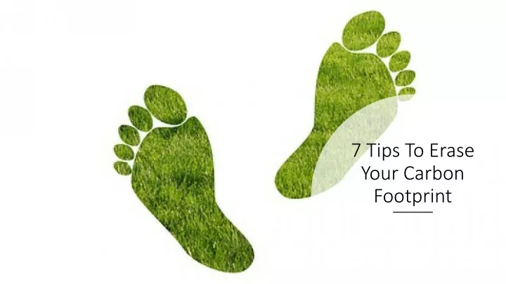 7 tips to erase your carbon footprint