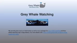grey w hale watching