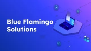 blue flamingo solutions