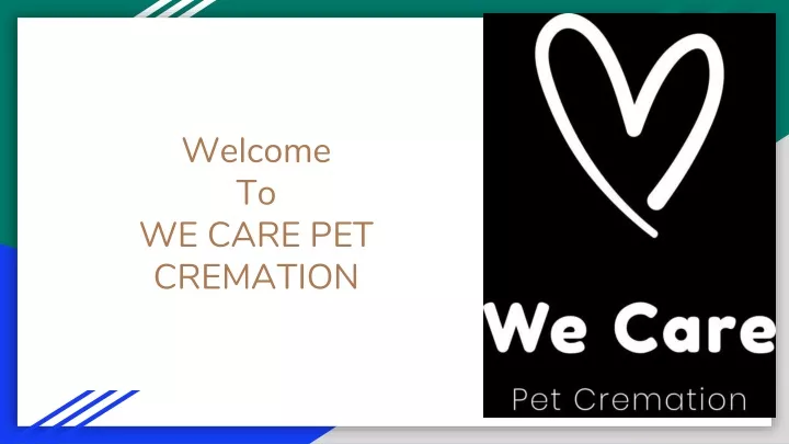 welcome to we care pet cremation