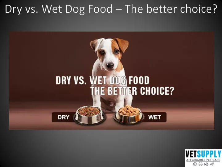 dry vs wet dog food the better choice