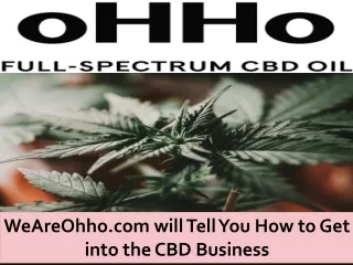 WeAreOhho.com will Tell You How to Get into the CBD Business