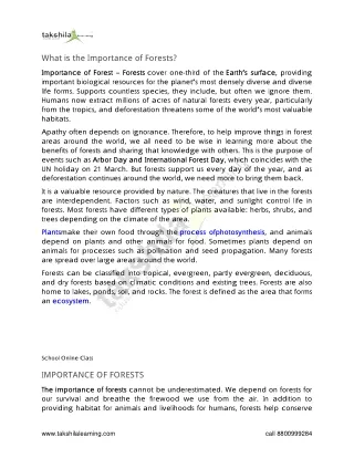 what is the importance of forests