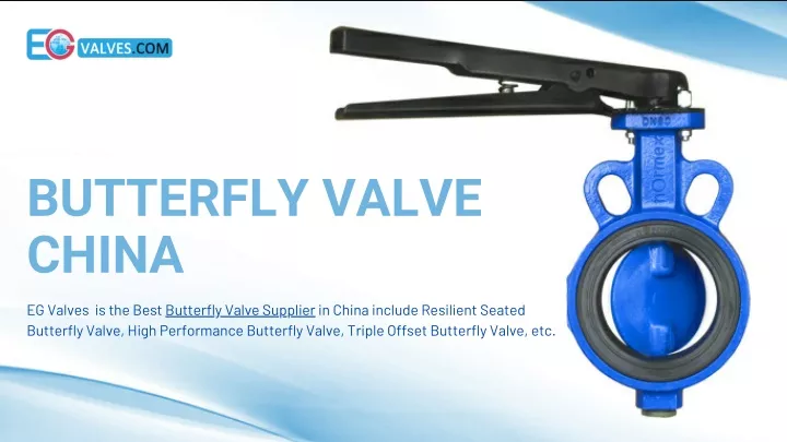 butterfly valve china