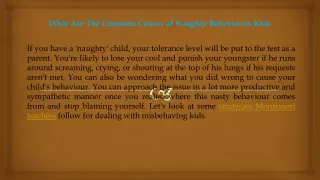 what are the common causes of naughty behavior