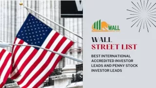 International Accredited Investor Leads and Penny Stock Investor Leads