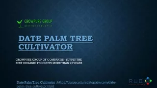 Date Palm Tree Cultivator