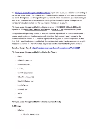 the privileged access management solution market