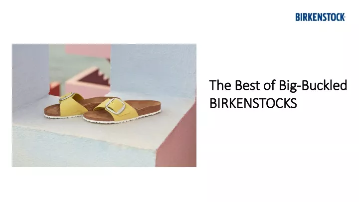 the best of big buckled birkenstocks