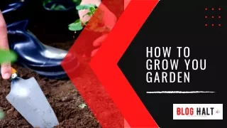 Grow your Own Garden