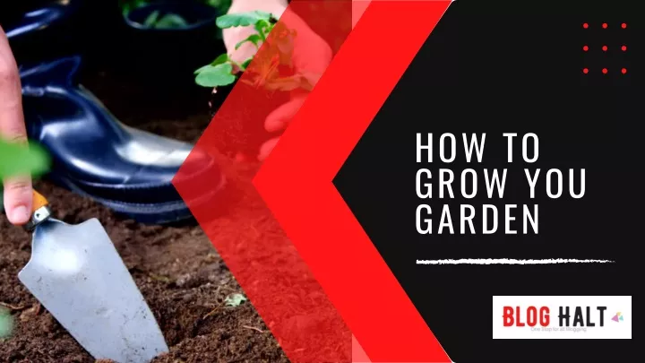 how to grow you garden